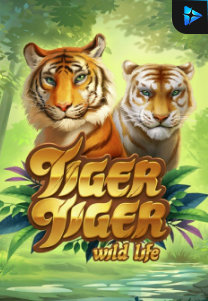 Bocoran RTP Slot Tiger Tiger Wild Life di 333HOKI