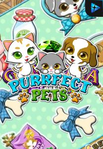 Bocoran RTP Slot PURRFECT PETS di 333HOKI