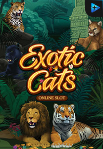 Bocoran RTP Slot exoticcats di 333HOKI