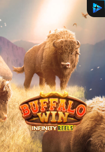 Bocoran RTP Slot Buffalo Win Infinity Reels di 333HOKI