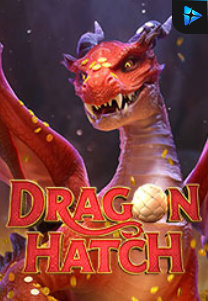 Bocoran RTP Slot Dragon Hatch di 333HOKI