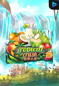 Bocoran RTP Slot Tropical-Crush di 333HOKI