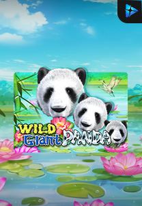 Bocoran RTP Slot Wild-Giant-Panda di 333HOKI